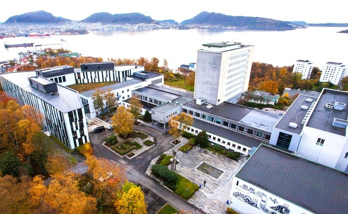 Skoler